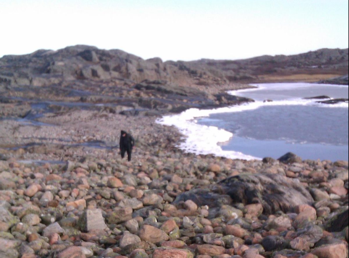 A figure beach-combing on a pebble beach made of different colours of granite. The beach is on Hönö and you can get a tour there with Meet the Locals