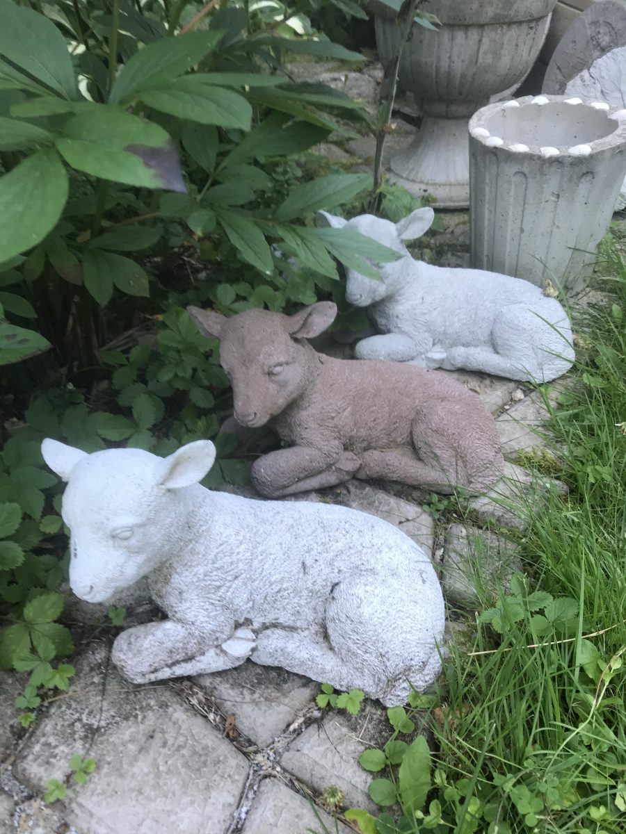 Concrete garden sculptures in form of life sized lambs lying down. In Hyssna you can visit a private garden with Meet the Locals