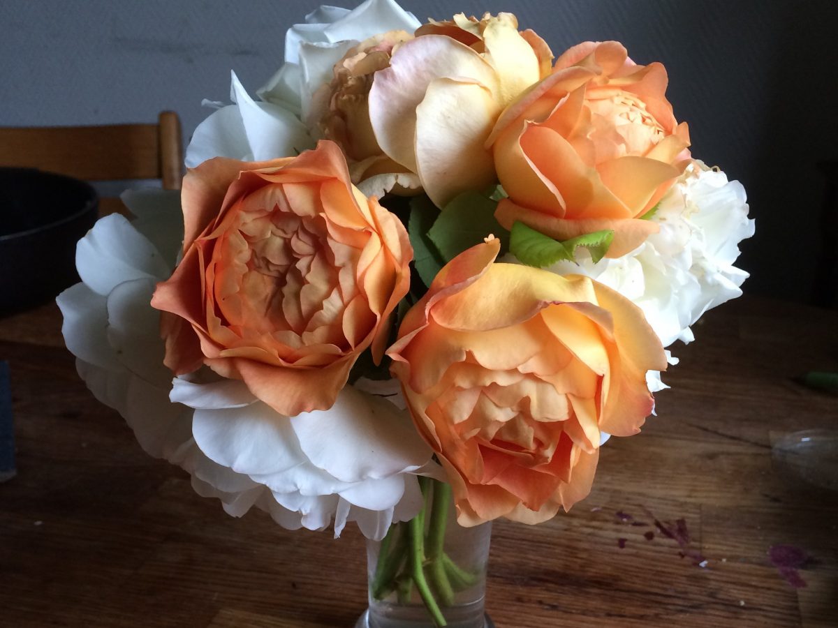 Some beautiful peach coloured roses nestle together in a small posy picked from the garden. Visit the garden and meet the D'Arcy family with Meet the Locals